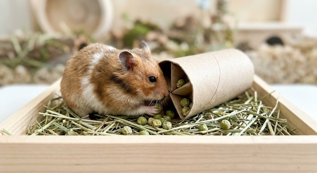 Turn Treat Time into Playtime: DIY Enrichment with Dried Green Peas