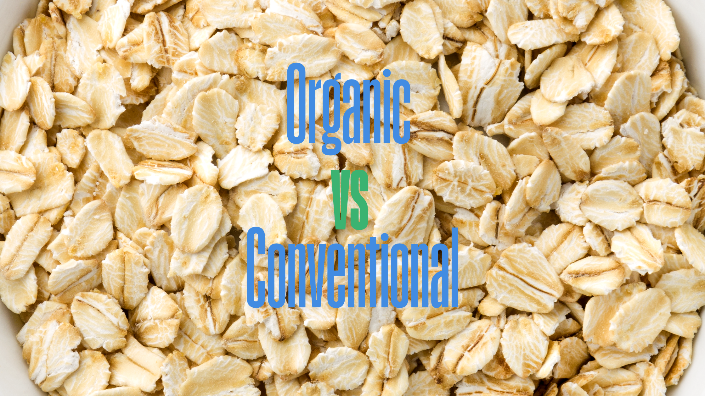 Organic Feed vs Conventional Feed:  Which One Should You Choose?