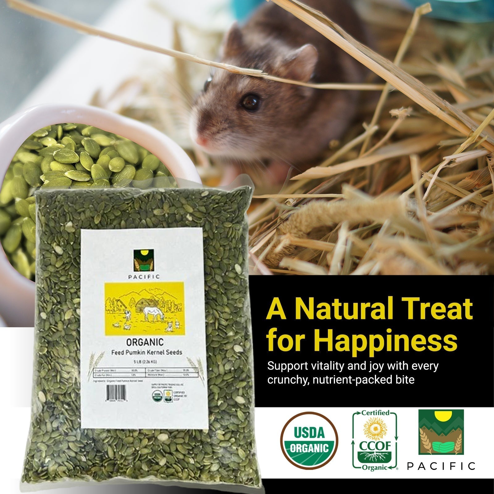 Pumpkin Seeds as Nutritious Treats for Small Pets