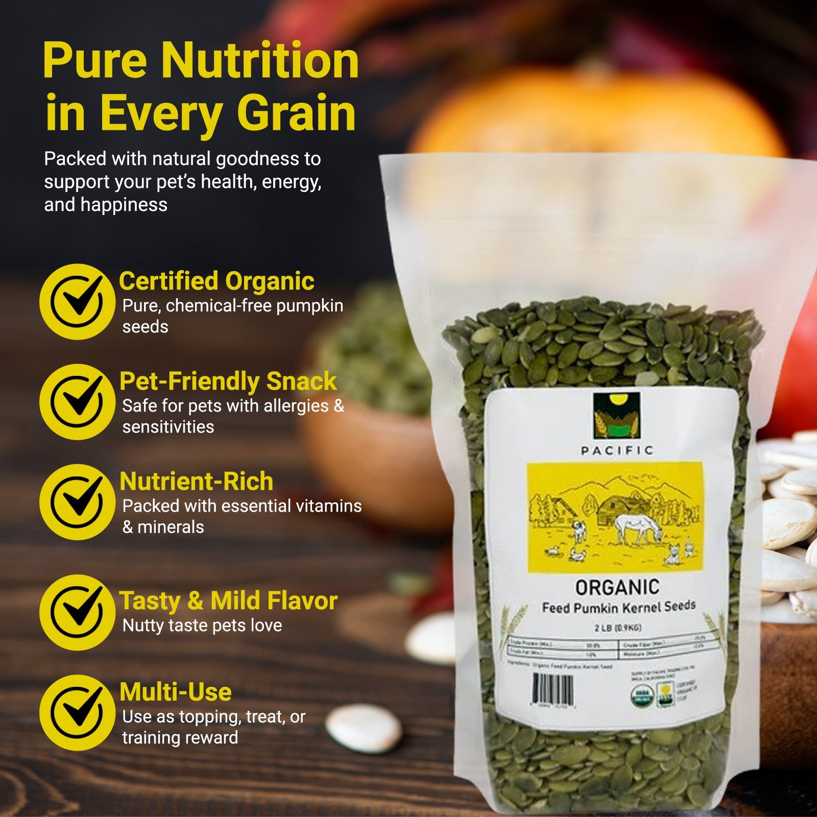 Pumpkin Seeds: Protein-Rich Feed for Poultry