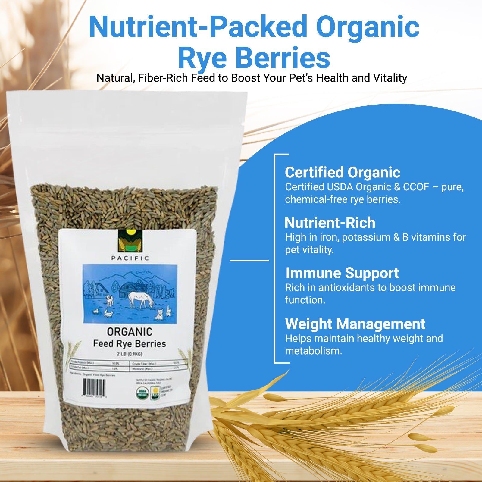 Rye Grain in Cattle Diets : An Alternative to Corn