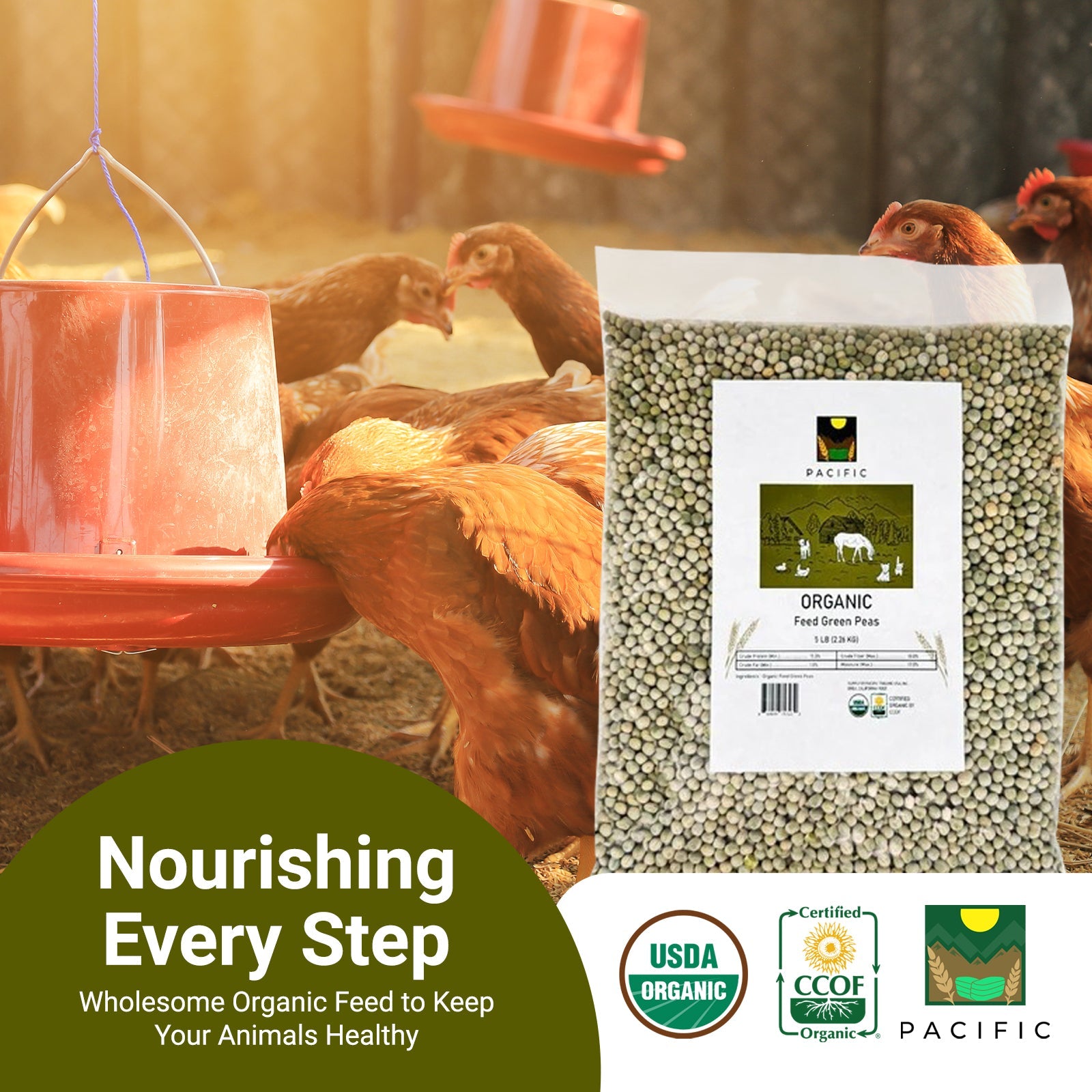 Green Peas: Allergy-Friendly Protein for Poultry