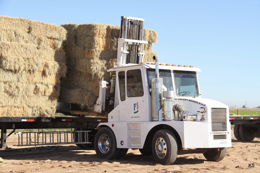 FEED HAY