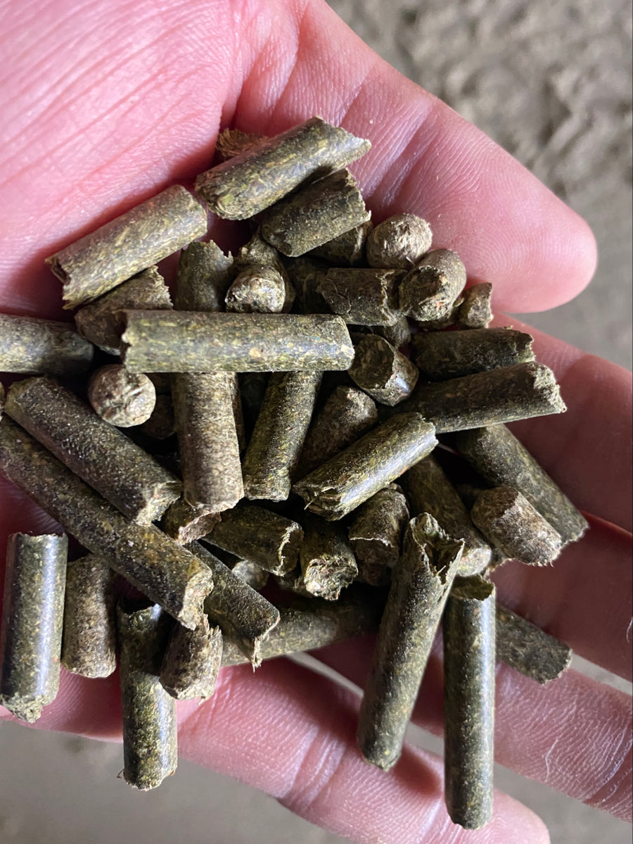 FEED PELLET