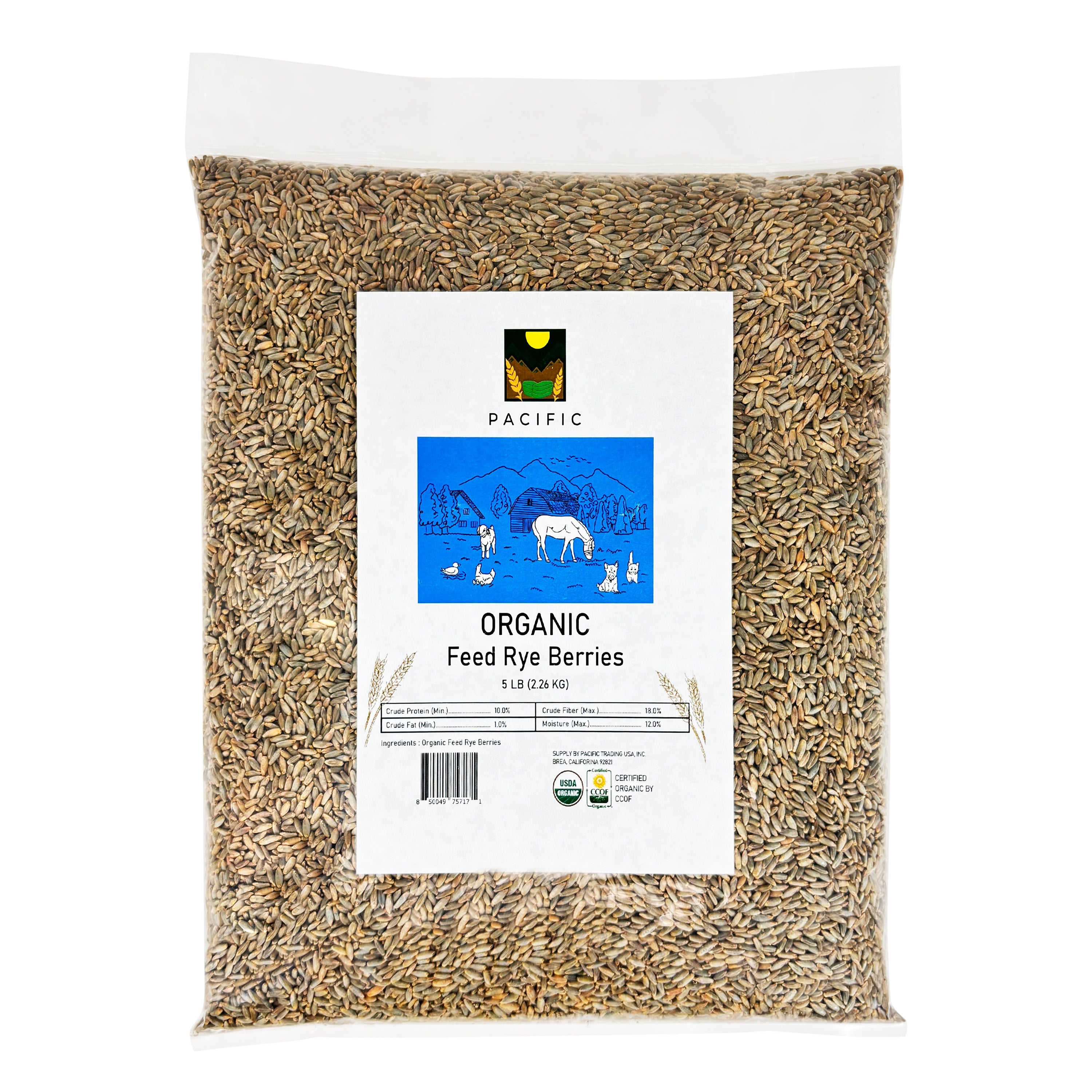 Organic Feed Rye Berries – Pacific Petfood