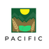 Pacific Organic Regular Pearled Barley - Pearled Barley Organic | Rich with Fiber & Minerals | USDA and CCOF Certified | Product of USA | 2Lbs