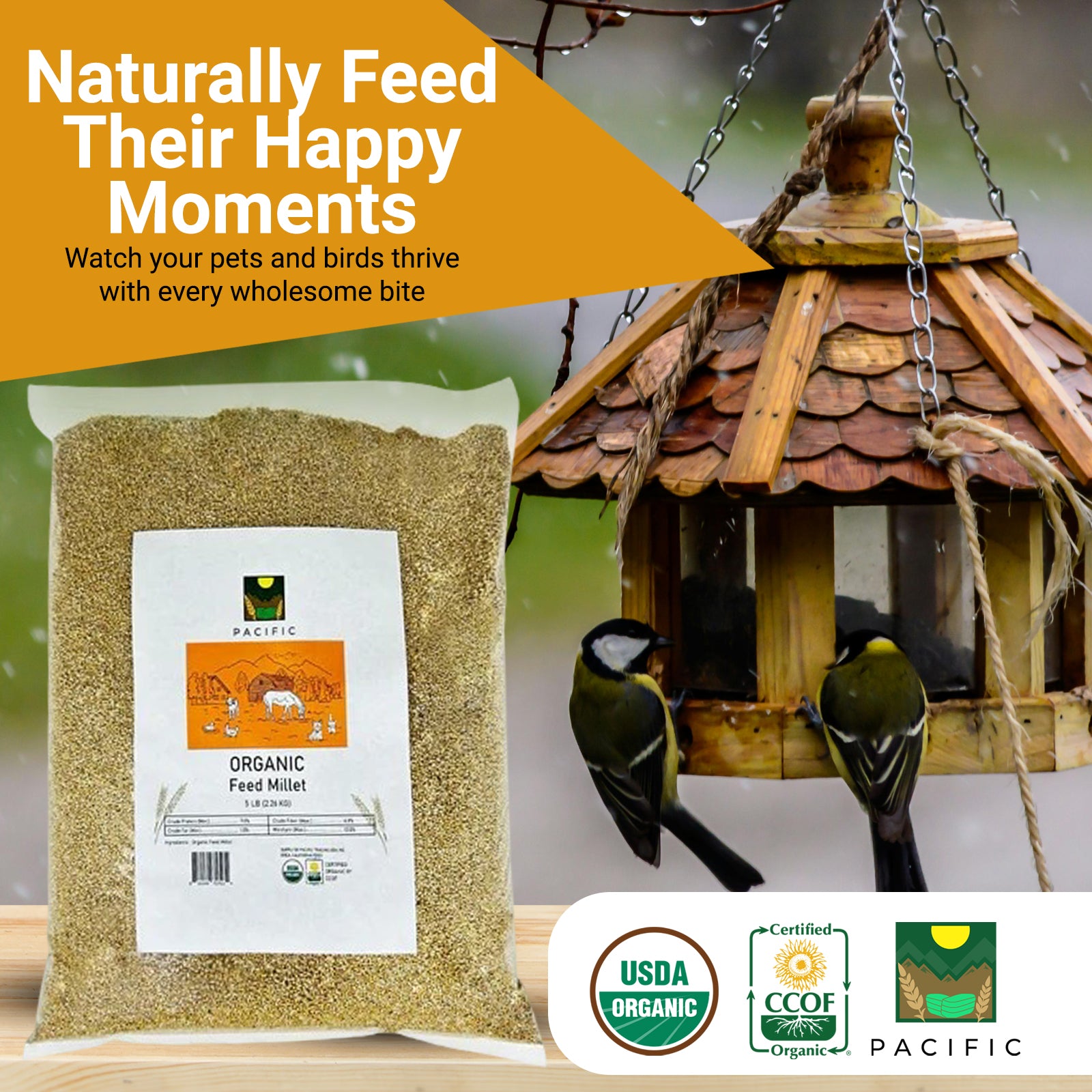 Pacific Organic Feed Millet - Millet Bird Seed 5Lbs | Rich with Fiber & Minerals | USDA and CCOF Certified | Packed in USA