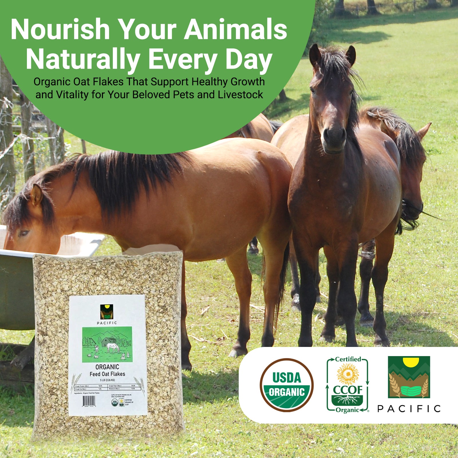 Pacific Organic Feed Oat Flakes | Rich with Fiber & Minerals | USDA and CCOF Certified | Product of USA | 5Lbs
