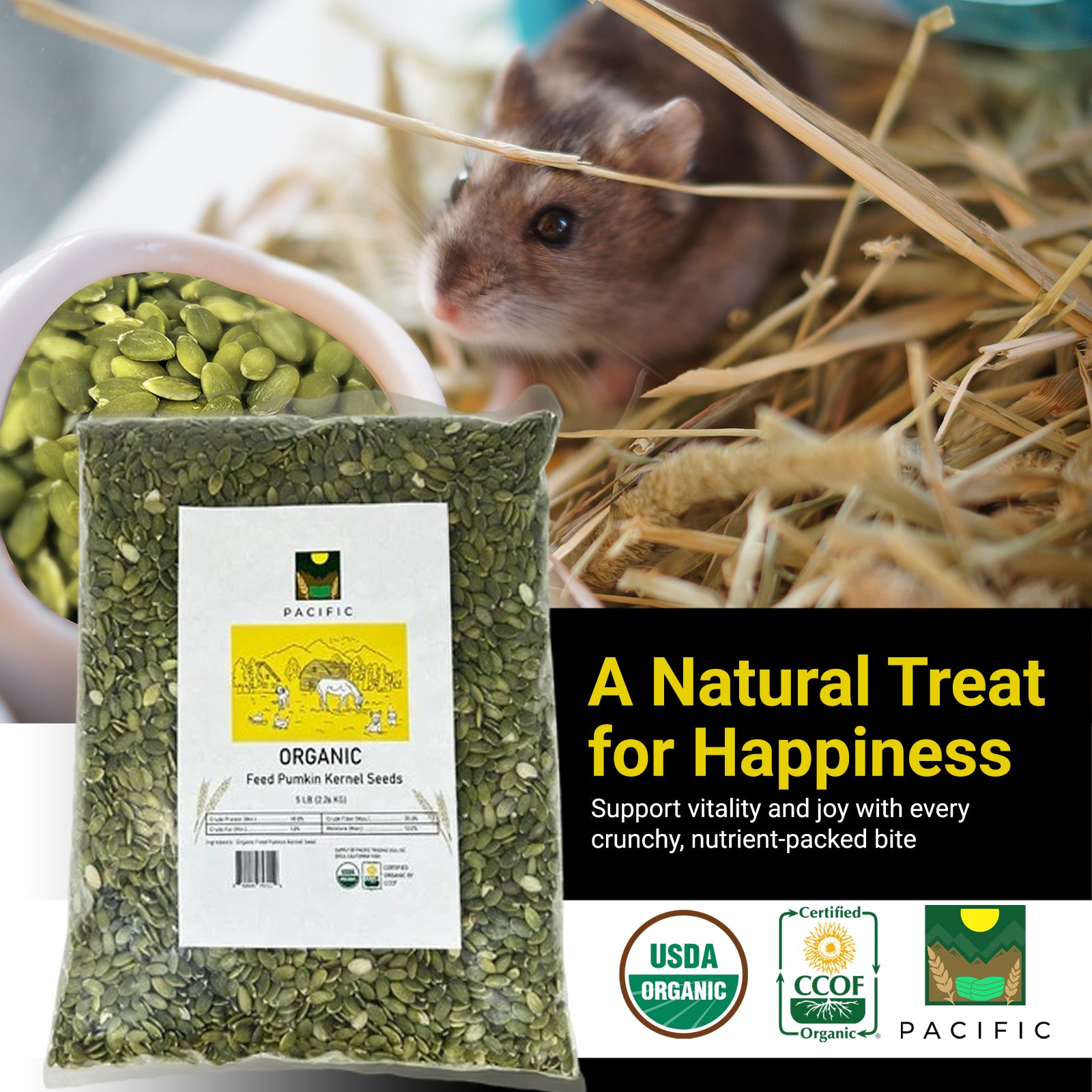 Pacific Organic Feed Pumpkin Kernel Seeds - Organic Pumpkin Seeds for Dogs | Rich with Fiber & Minerals | USDA and CCOF Certified | Packed in USA - 5Lbs