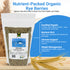 Pacific Organic Feed Rye Berries - Whole Rye Berries 5Lbs | USDA Certified Organic and CCOF Certified | Product of USA