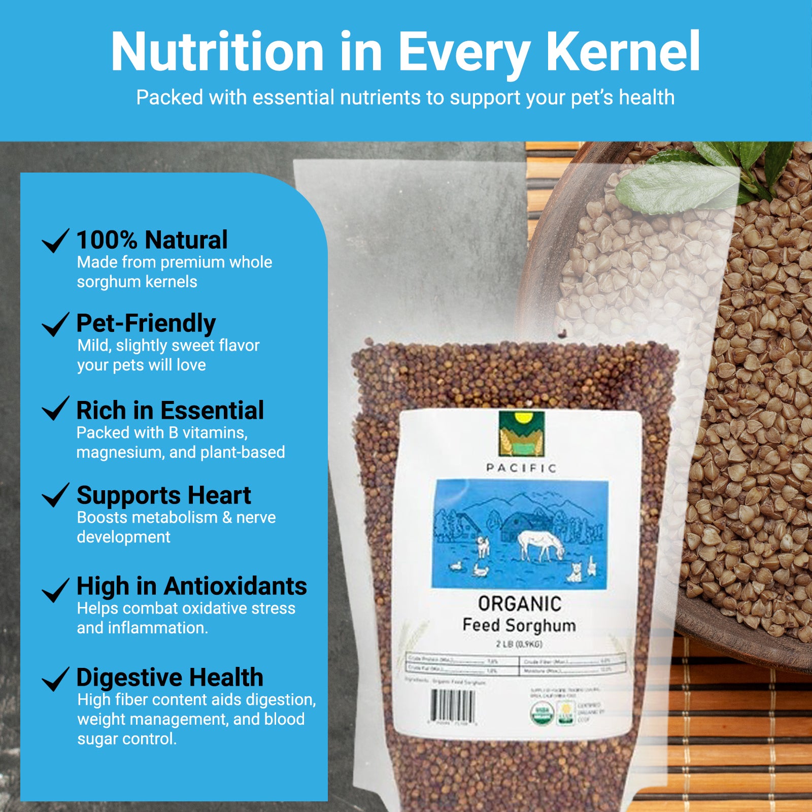 Pacific Organic Feed Sorghum Grain Rich with Fiber & Minerals | USDA and CCOF Certified | Product of USA | 5Lbs