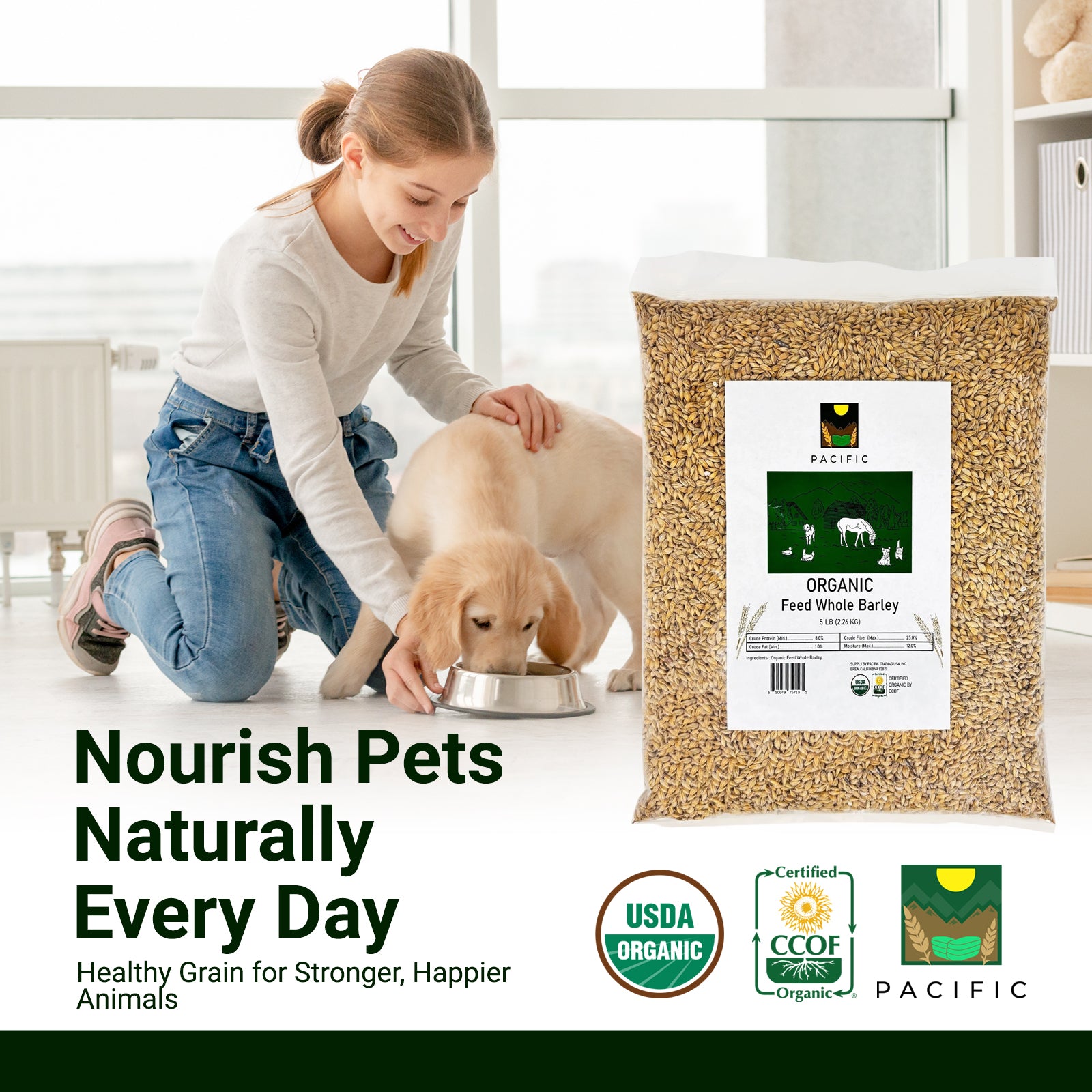 Pacific Organic Feed Whole Barley - Dehulled Whole Barley | USDA and CCOF Certified | Product of USA | 5lb