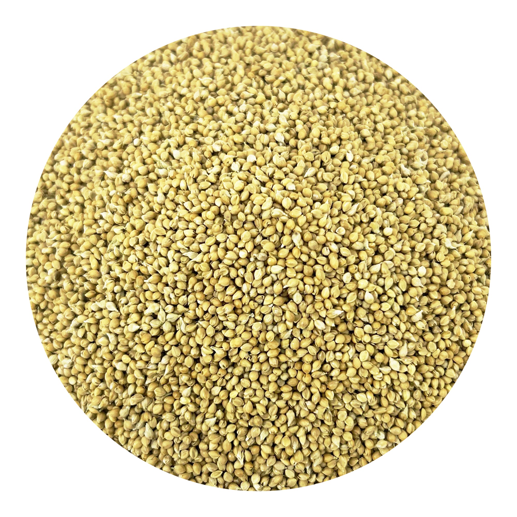 Pacific Organic Feed Millet - Millet Bird Seed 2Lbs | Rich with Fiber & Minerals | USDA and CCOF Certified | Packed in USA
