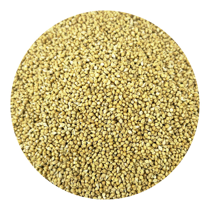 Pacific Organic Feed Millet - Millet Bird Seed 2Lbs | Rich with Fiber & Minerals | USDA and CCOF Certified | Packed in USA