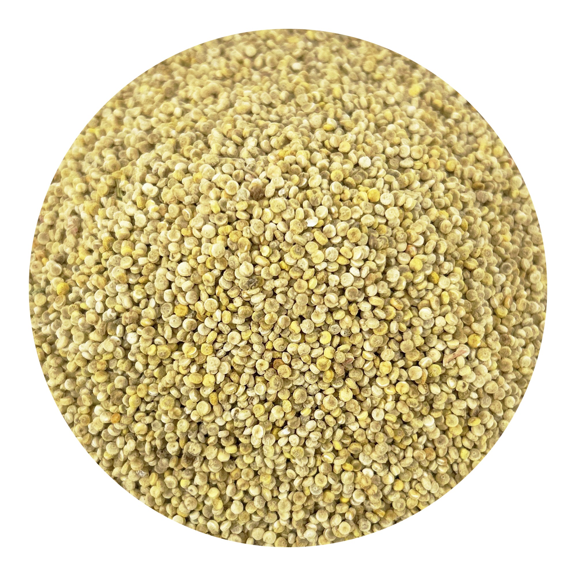 PACIFIC Organic Feed Quinoa - Quinoa Organic | Rich with Fiber & Minerals | USDA and CCOF Certified | Packed in USA | 5Lbs