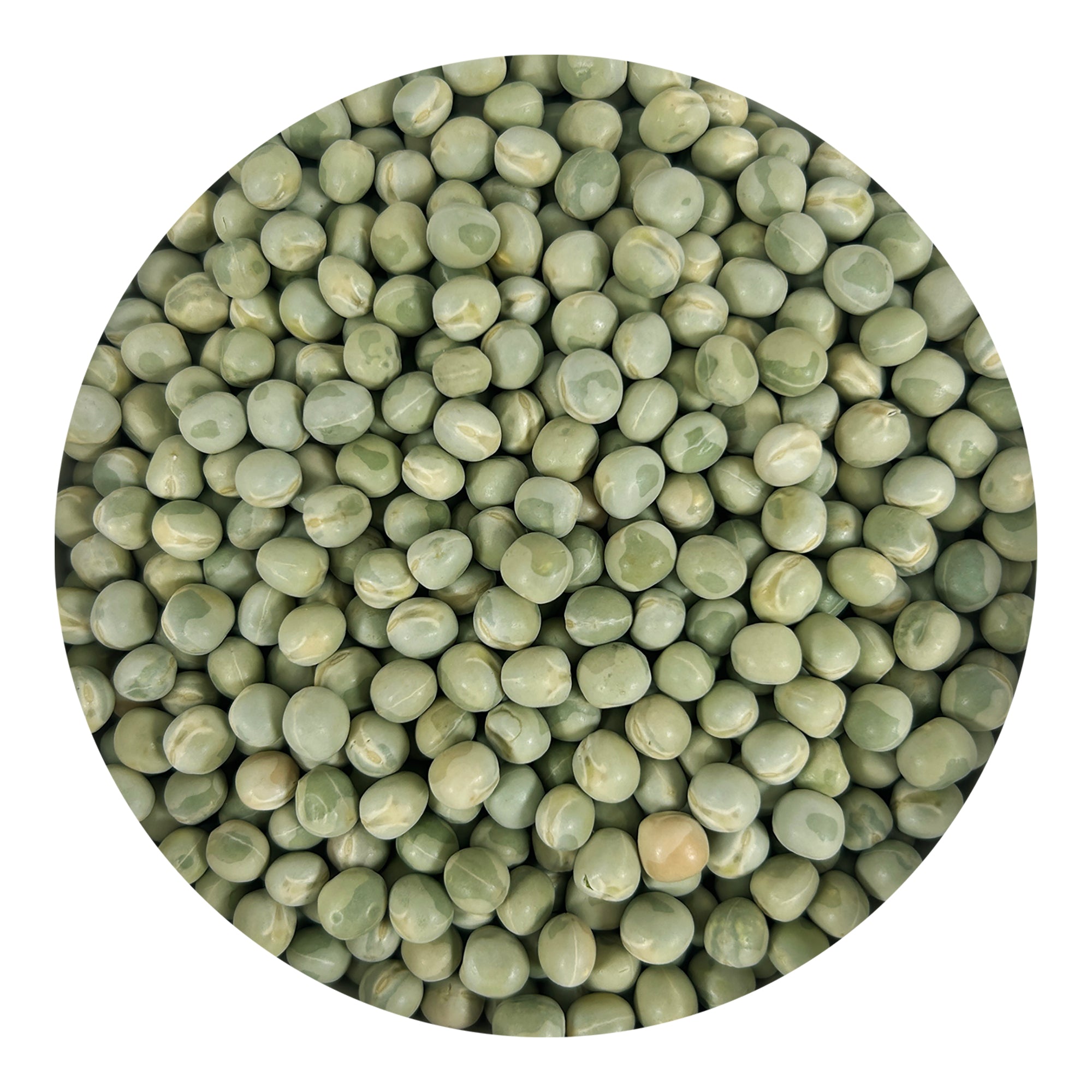 Pacific Organic Whole Green Pea - Green Peas | Rich with Fiber & Minerals | USDA and CCOF Certified | Packed in USA | 2Lbs