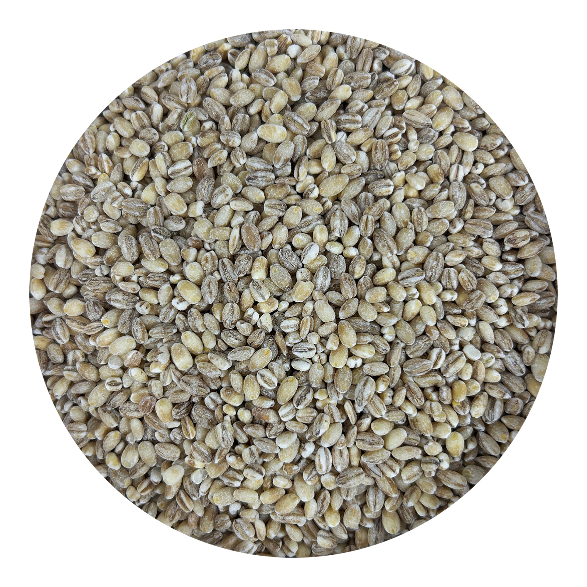 Pacific Organic Regular Pearled Barley - Pearled Barley Organic | Rich with Fiber & Minerals | USDA and CCOF Certified | Product of USA | 2Lbs