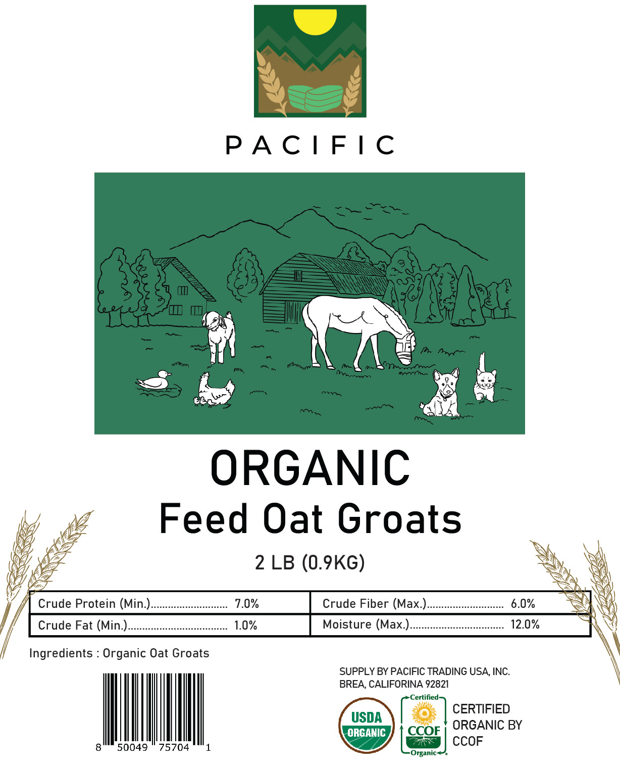 Pacific Organic Feed Oat Groats - Oat Groats for Birds | Rich with Fiber & Minerals | USDA and CCOF Certified | Packed in USA | 2Lbs