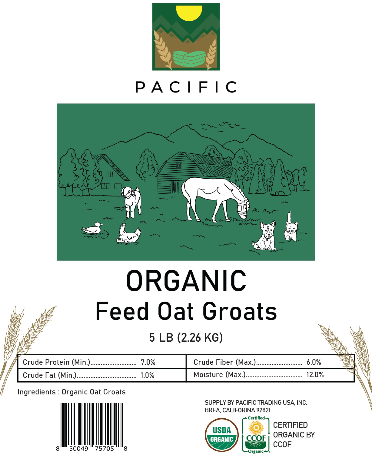 Pacific Organic Feed Oat Groats - Oat Groats for Birds | Rich with Fiber & Minerals | USDA and CCOF Certified | Packed in USA | 5Lbs