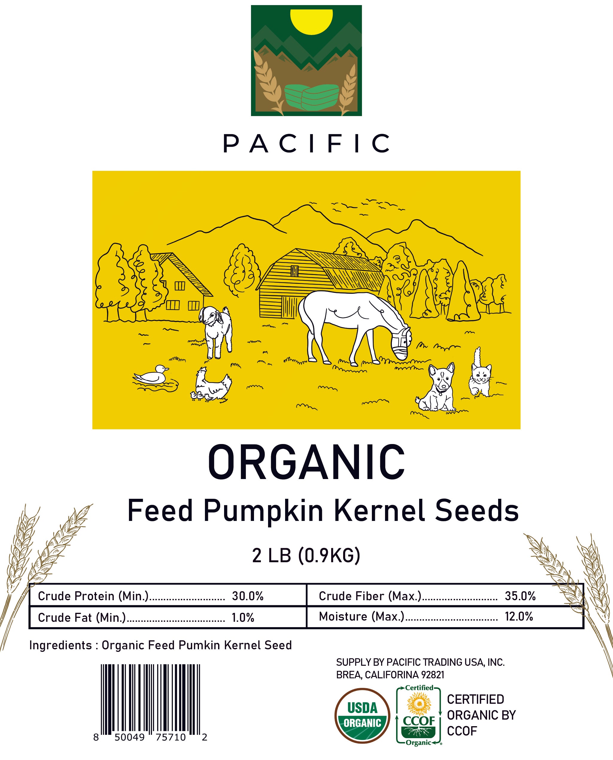 Pacific Organic Feed Pumpkin Kernel Seeds - Organic Pumpkin Seeds for Dogs | Rich with Fiber & Minerals | USDA and CCOF Certified | Packed in USA - 2Lbs