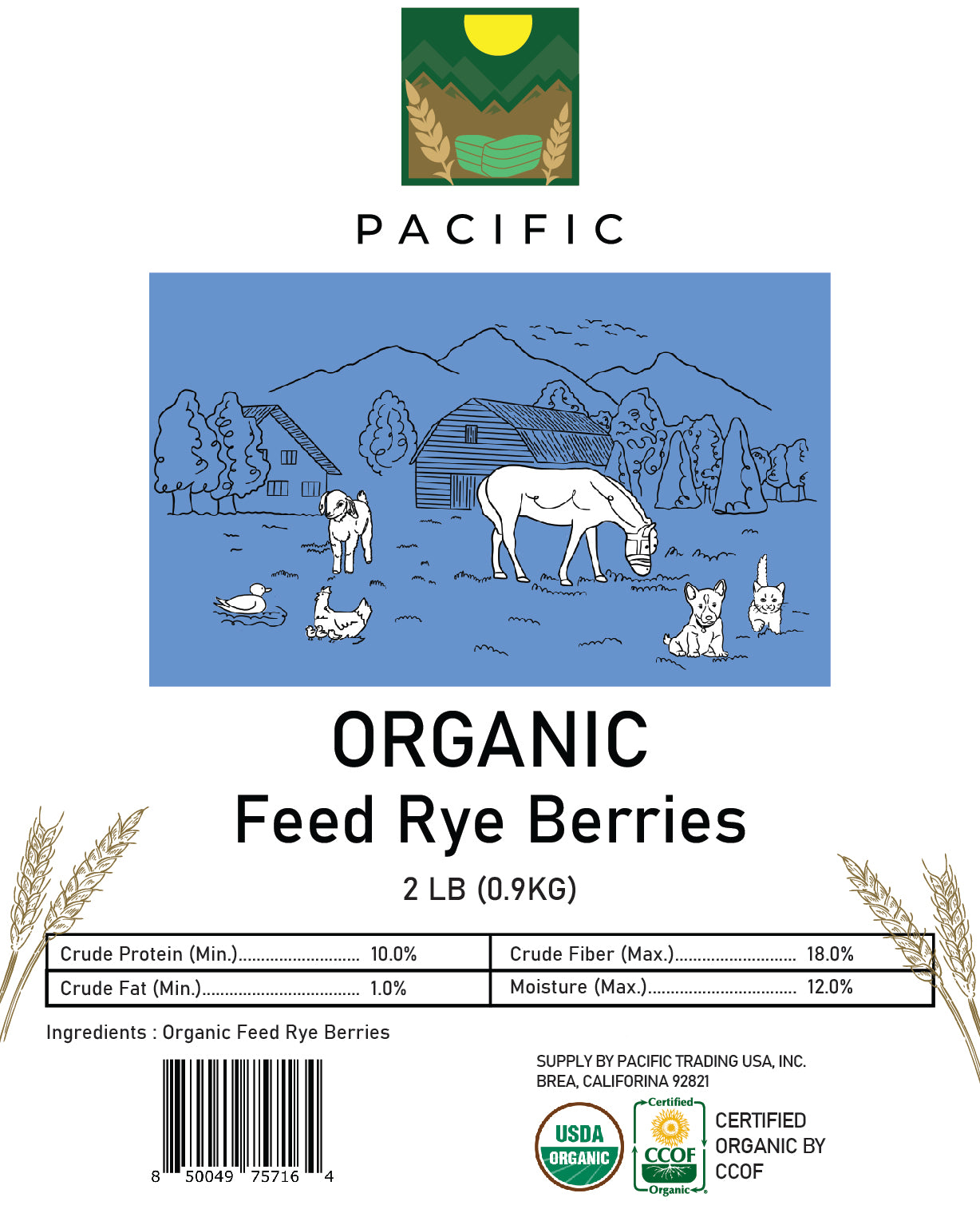 Pacific Organic Rye Berries - Whole Rye Berries 2 Lbs | USDA Certified Organic and CCOF Certified | Product of USA