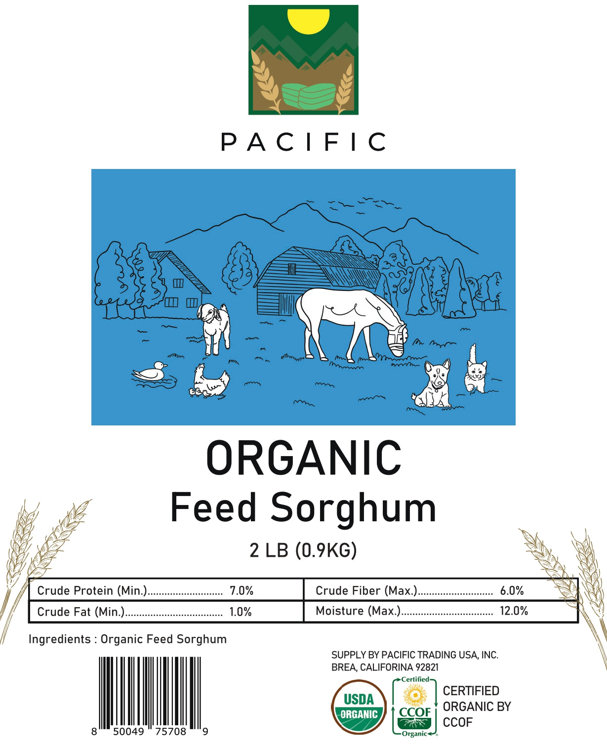 Pacific Organic Feed Sorghum Grain Rich with Fiber & Minerals | USDA and CCOF Certified | Product of USA | 2Lbs