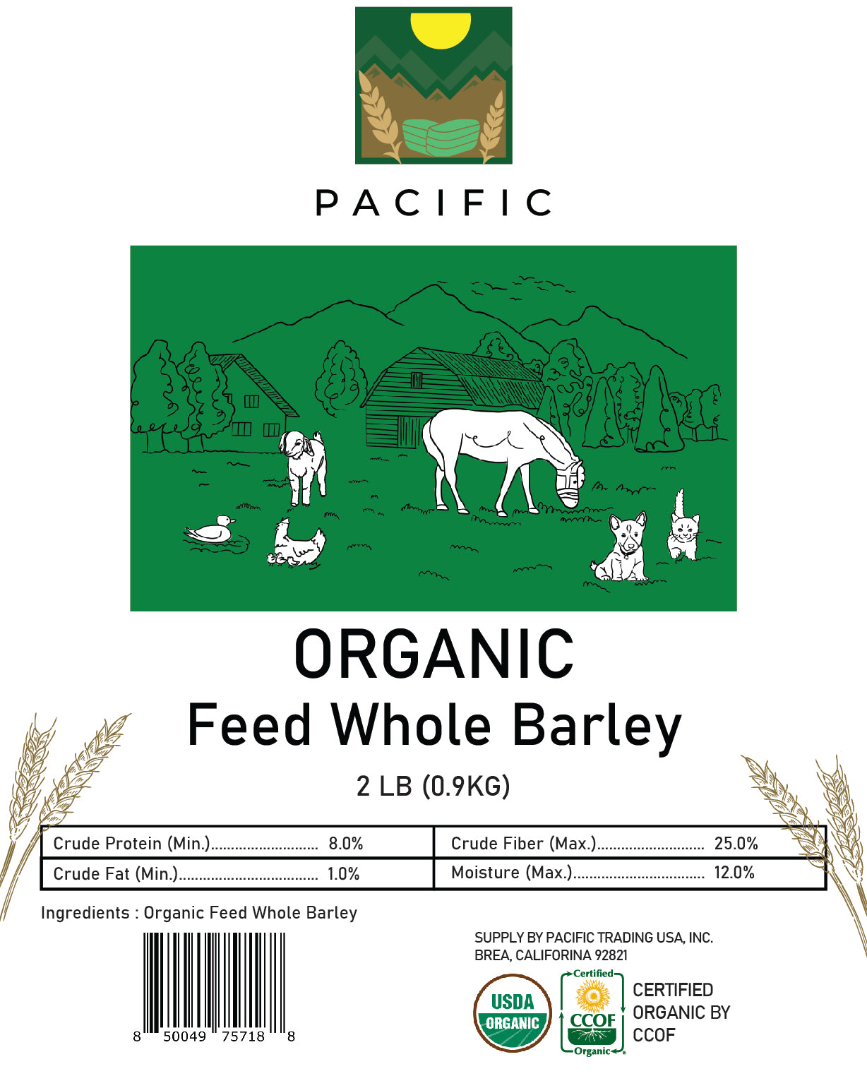 Pacific Organic Whole Barley - Dehulled Whole Barley | USDA and CCOF Certified | Product of USA | 2 lb