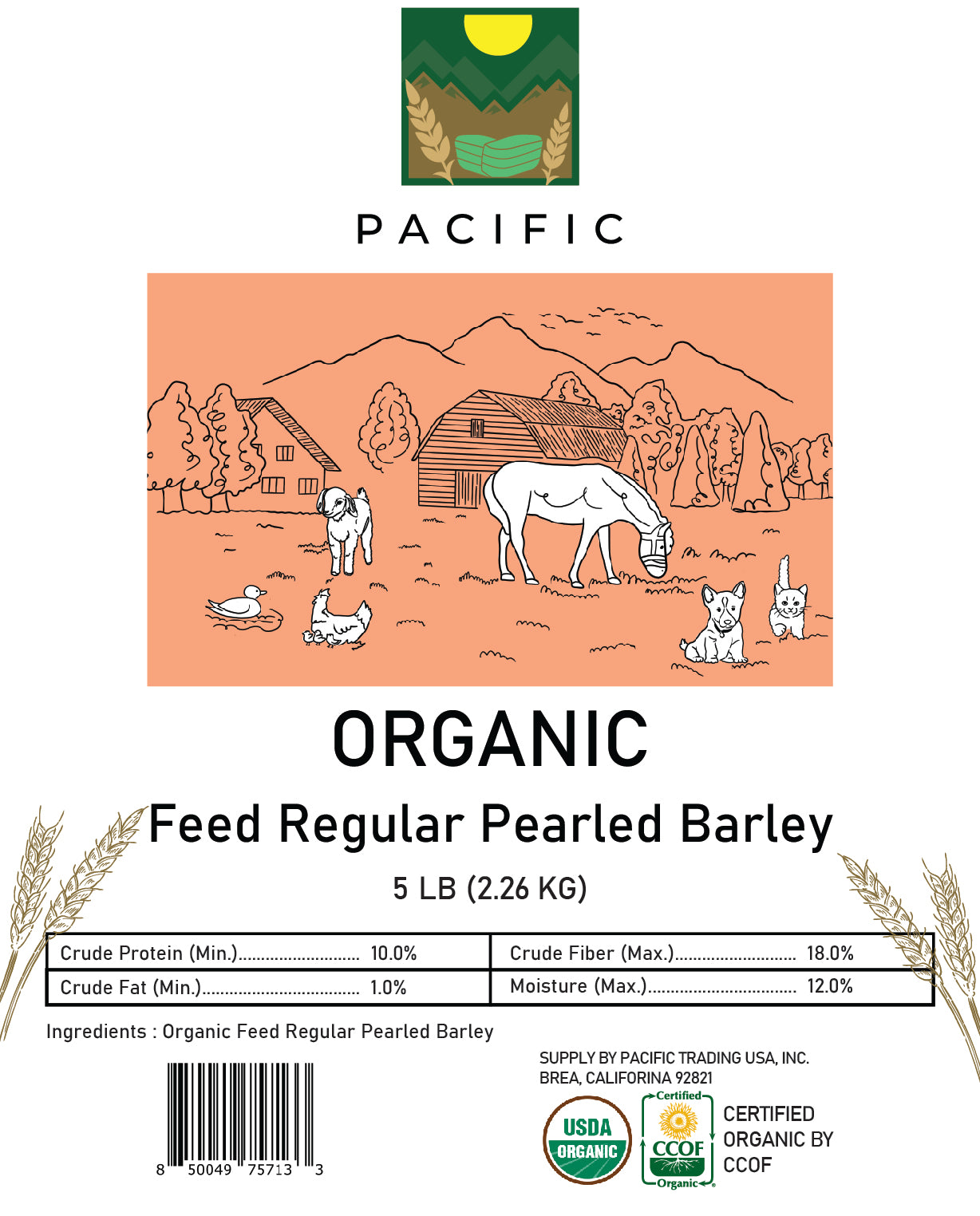 Pacific Organic Regular Pearled Barley - Pearled Barley Organic | Rich with Fiber & Minerals | USDA and CCOF Certified | Product of USA | 5Lbs